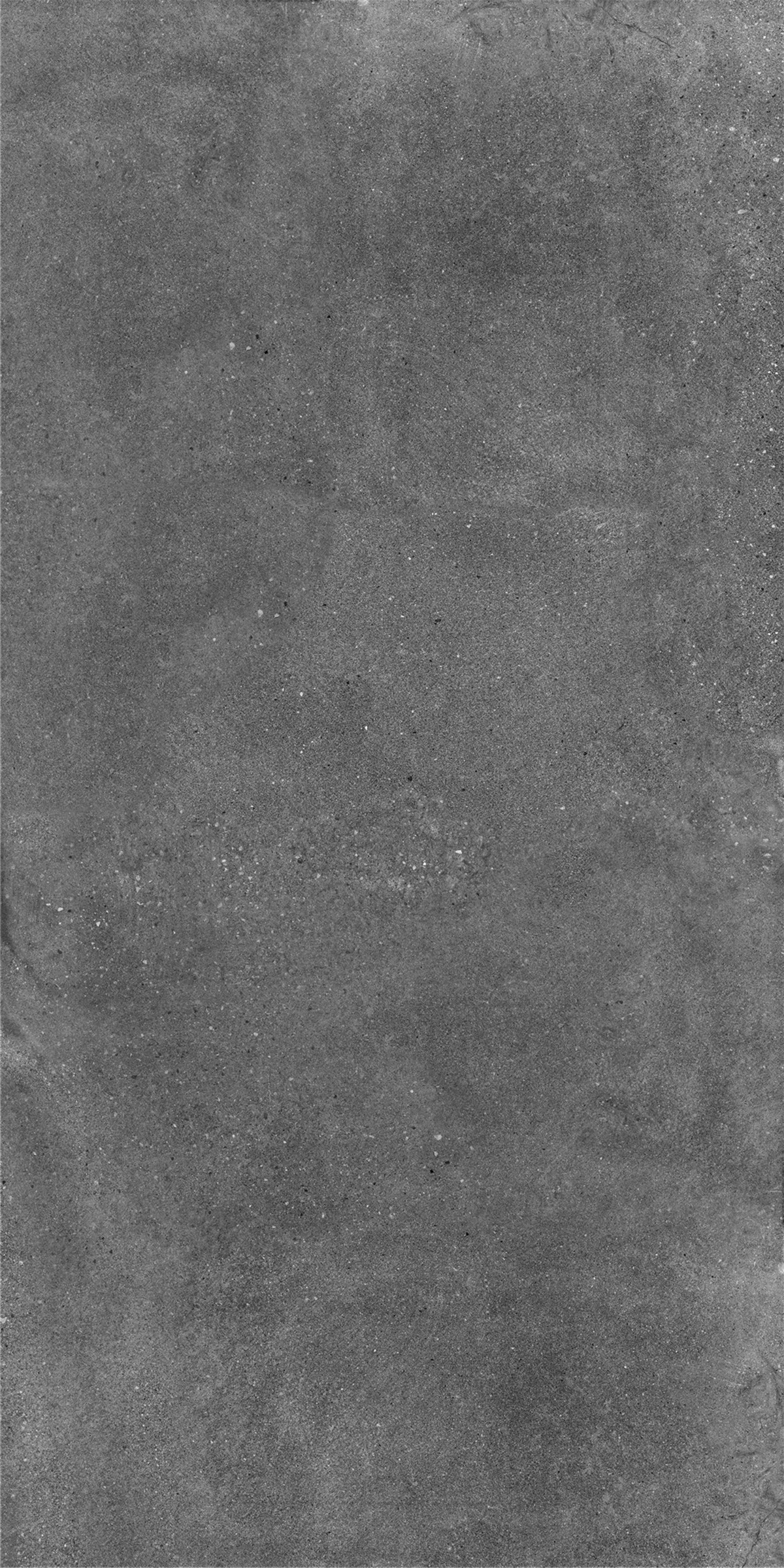 DR12633N - Image 6