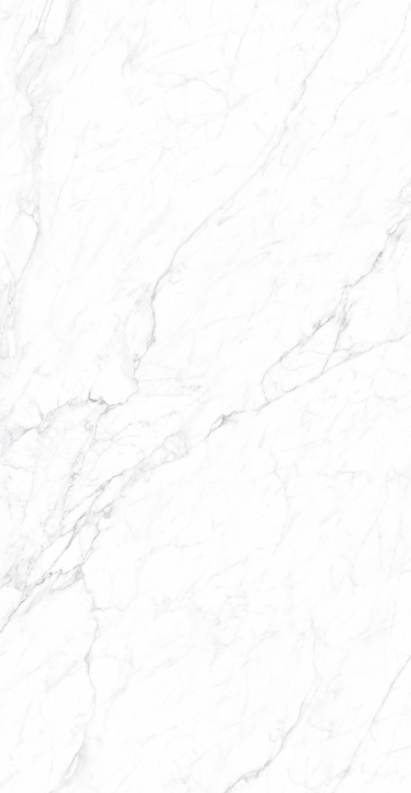 CK126H111B - Image 8