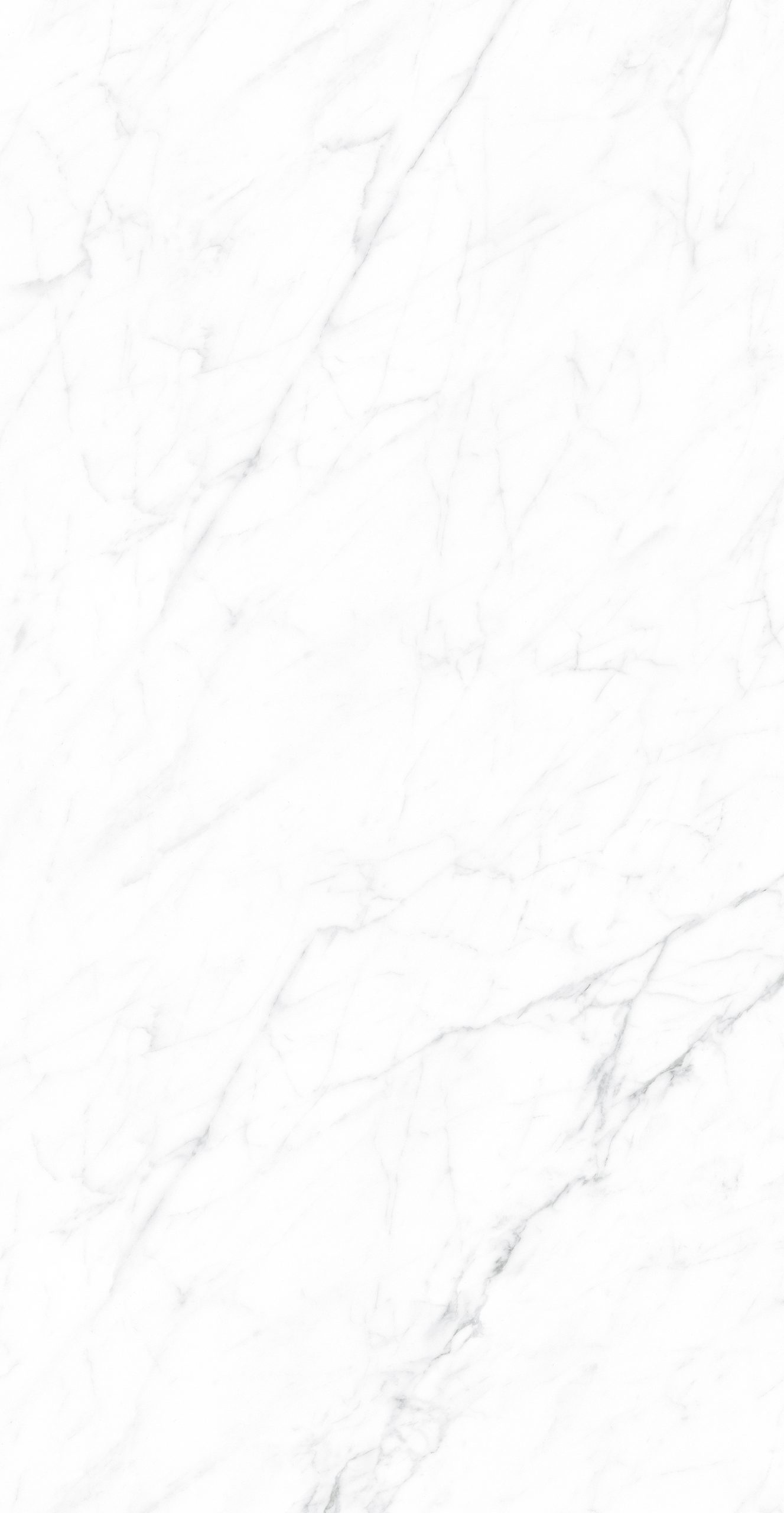 CK126H111B - Image 11