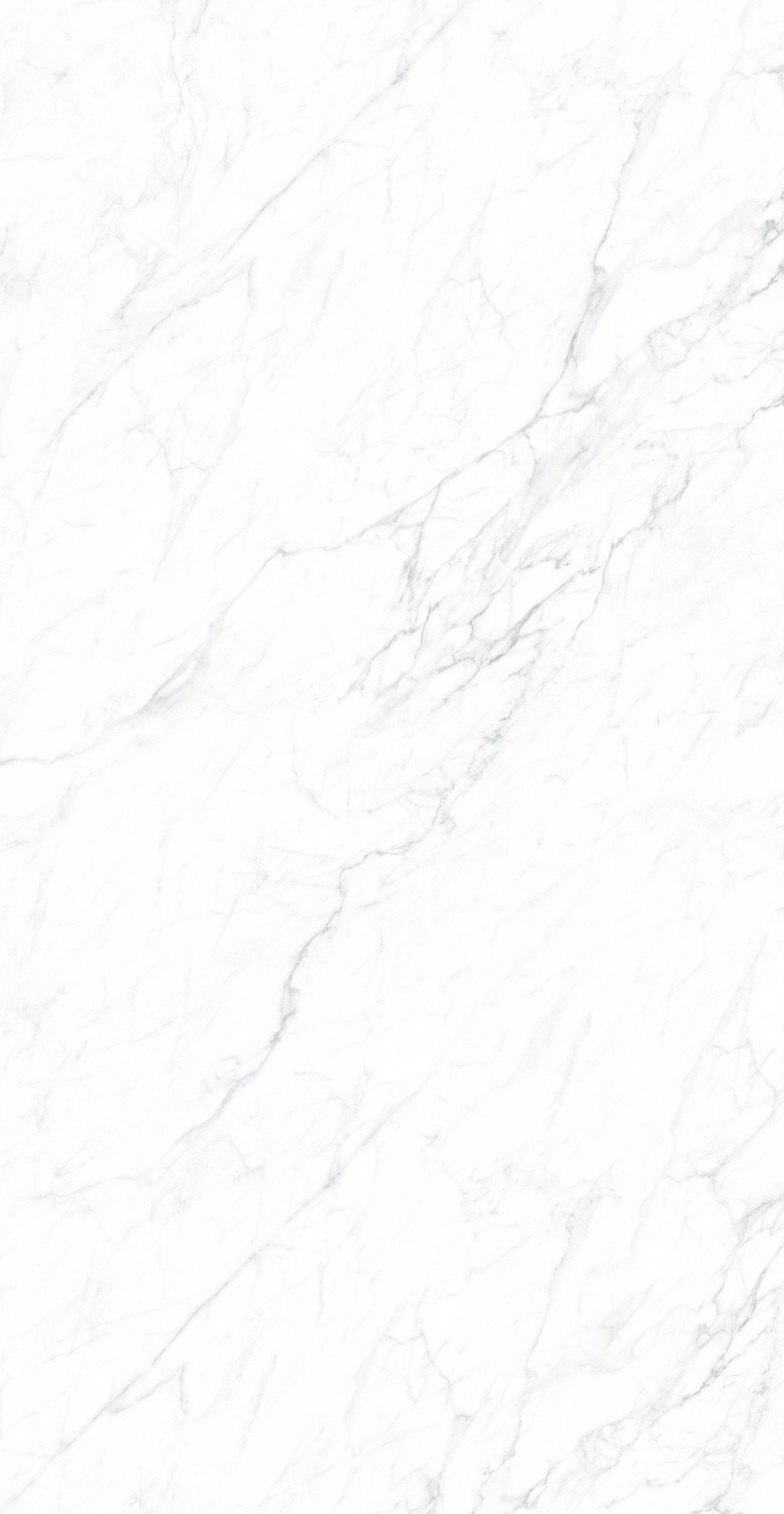 CK126H111B - Image 7