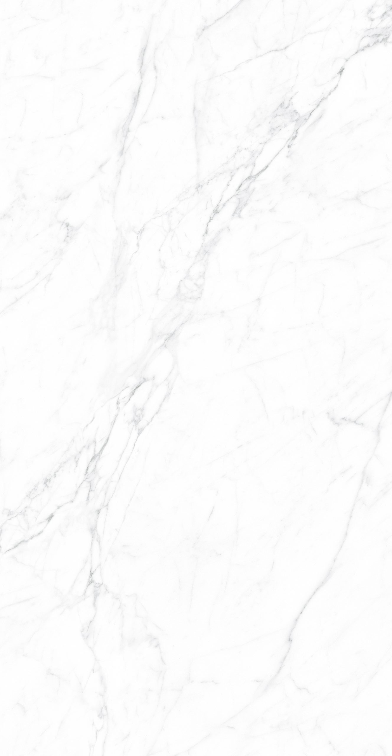 CK126H111B - Image 6