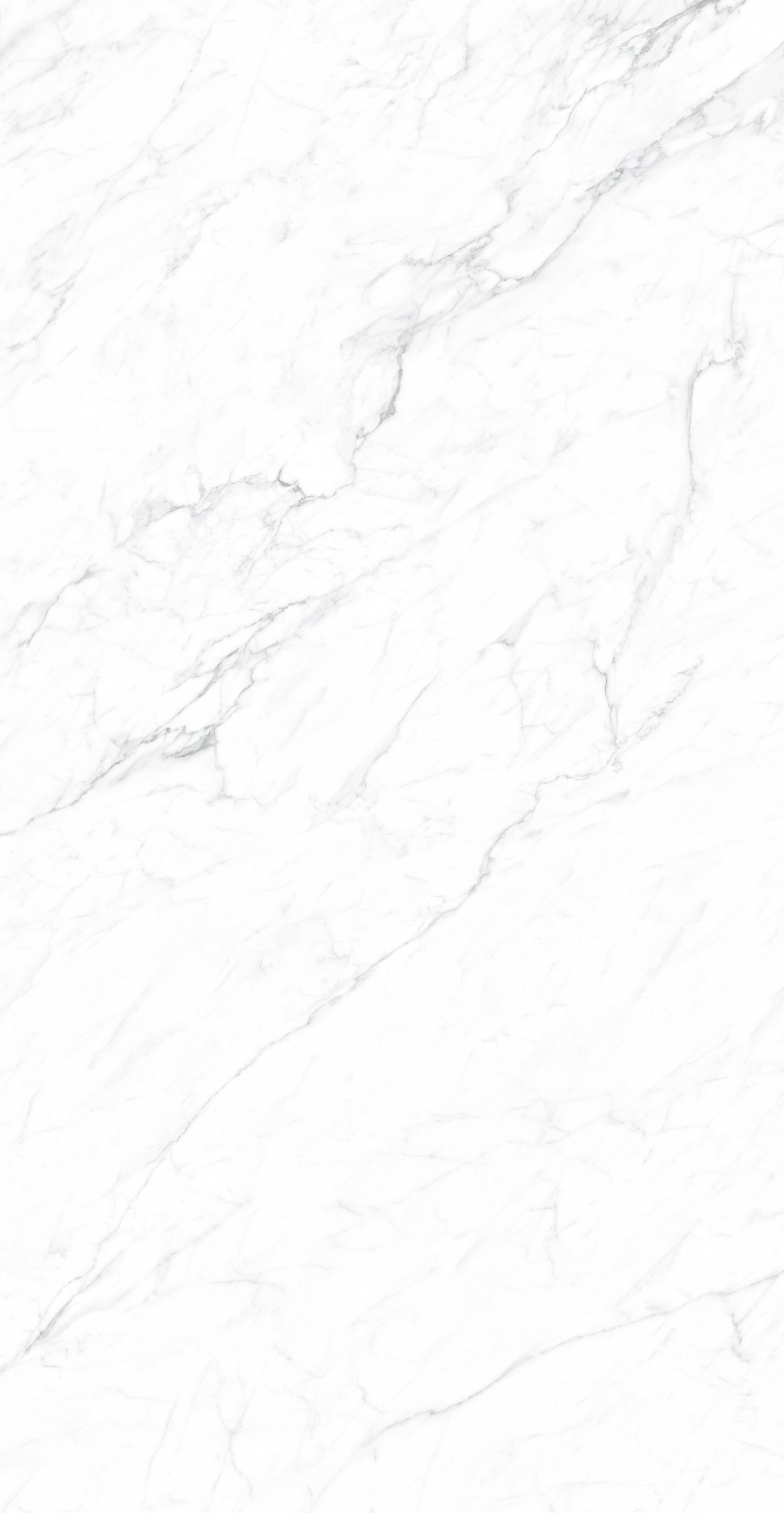 CK126H111B - Image 5