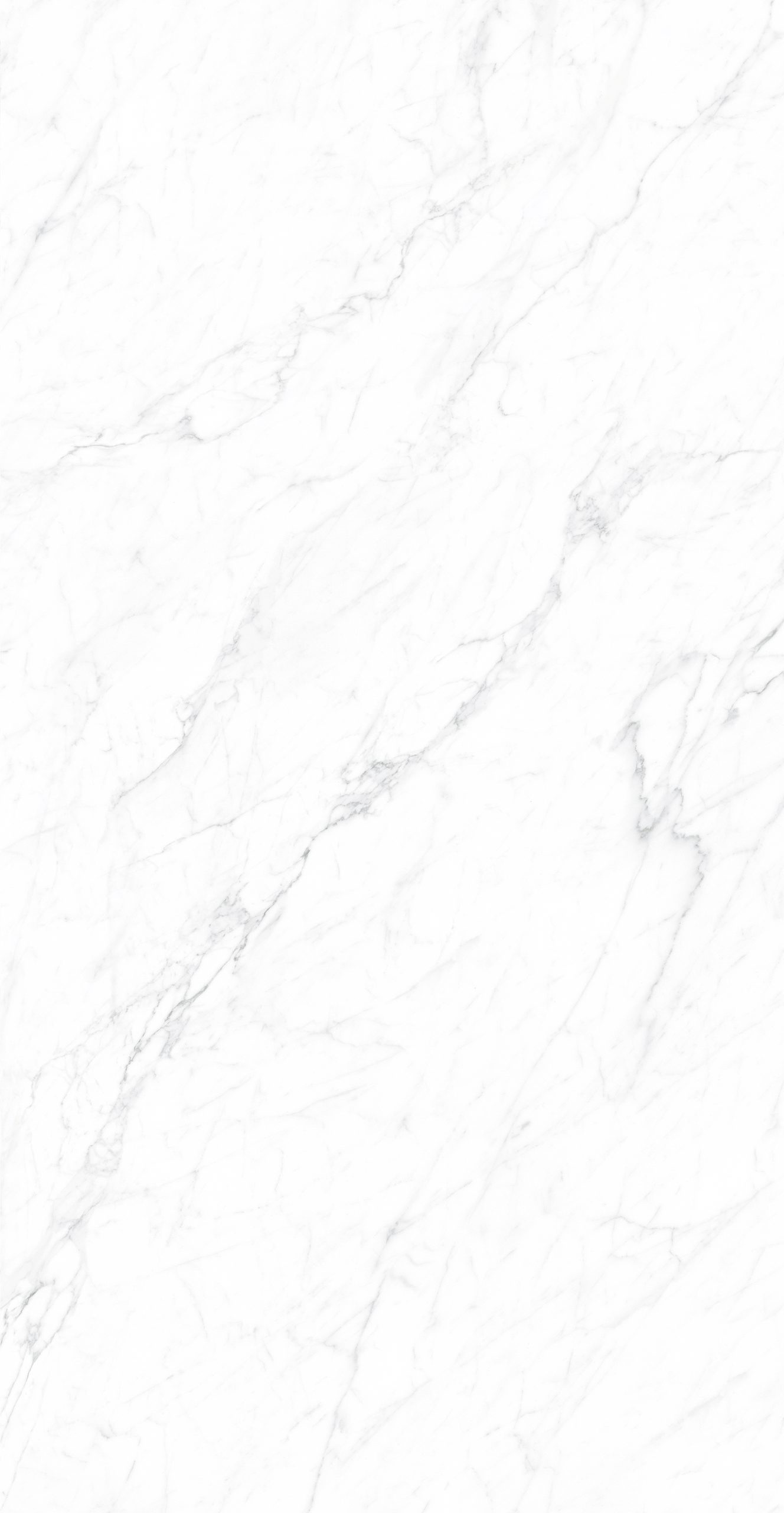 CK126H111B - Image 2