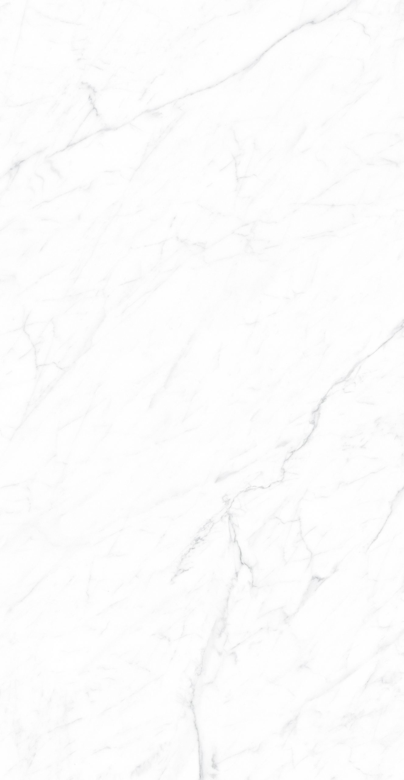 CK126H111B - Image 4