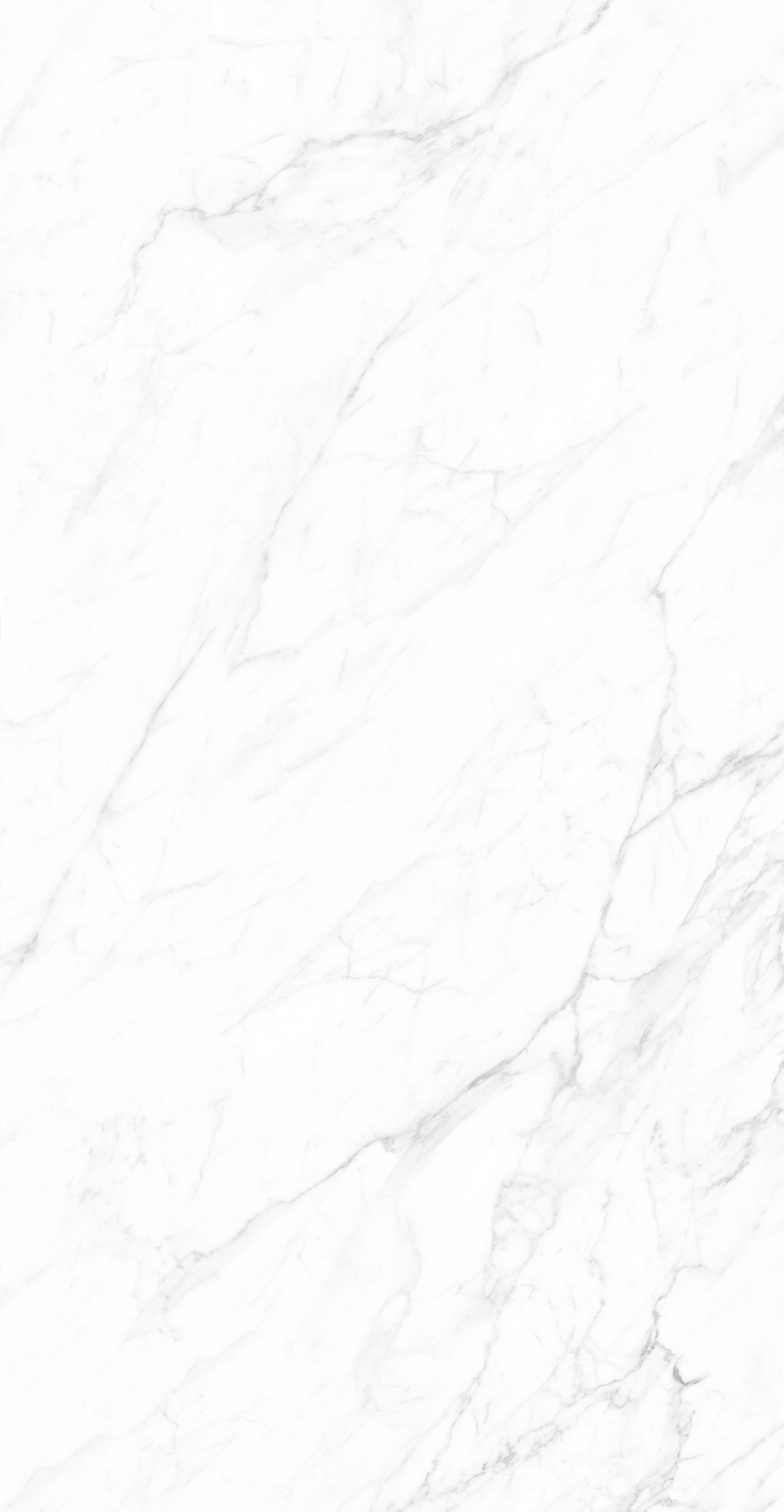 CK126H111B - Image 3