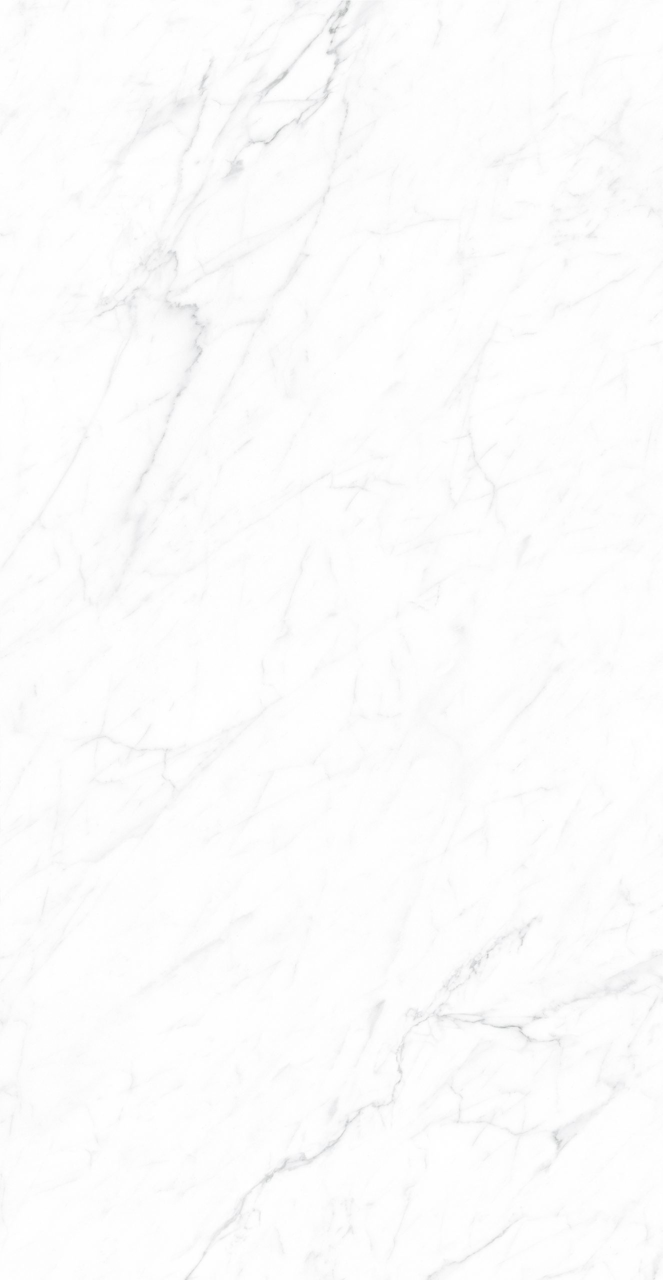 CK126H111B - Image 9