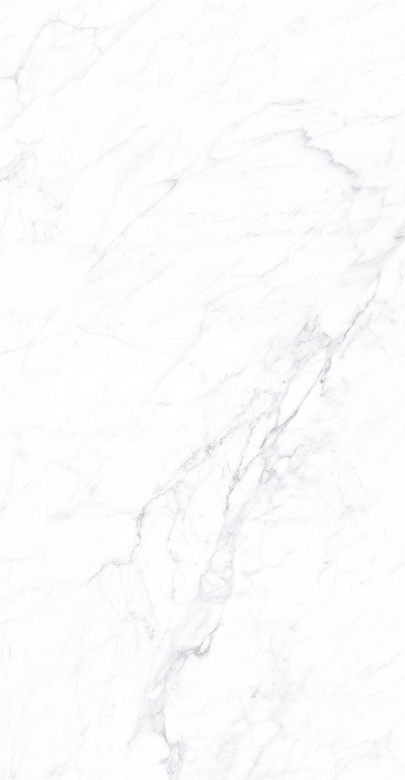 CK126H111B - Image 10